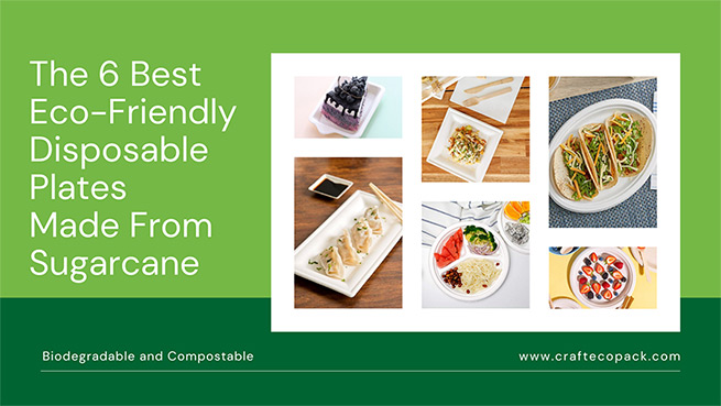 The 6 Best Eco-Friendly Disposable Plates Made From Sugarcane