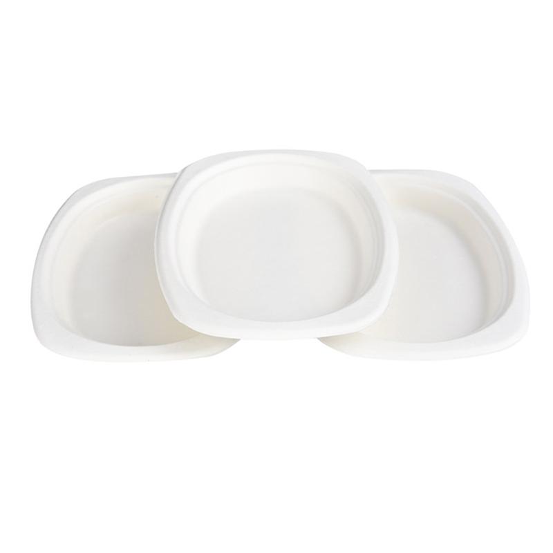 Oval Bagasse Takeout Dinner Plate