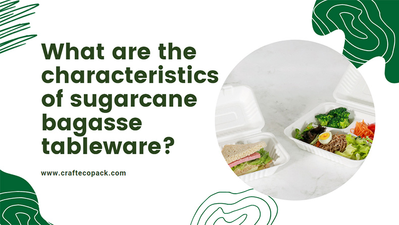 ¿Cuáles son las características de la vajilla de bagazo de caña de azúcar?