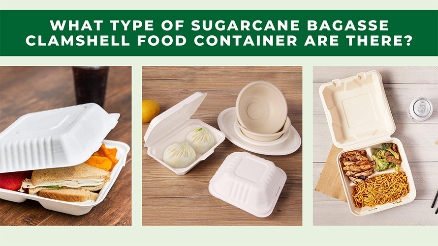 ¿Qué tipo de recipientes para comida con forma de concha de bagazo de caña de azúcar existen?